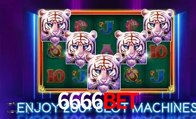 Descubra a Essência do 6666bet: Nossa História e Compromissos